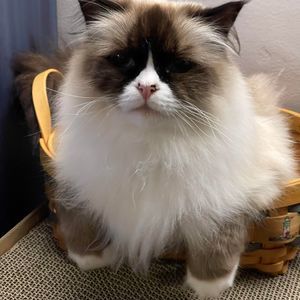 Meet your Posher, Cathy